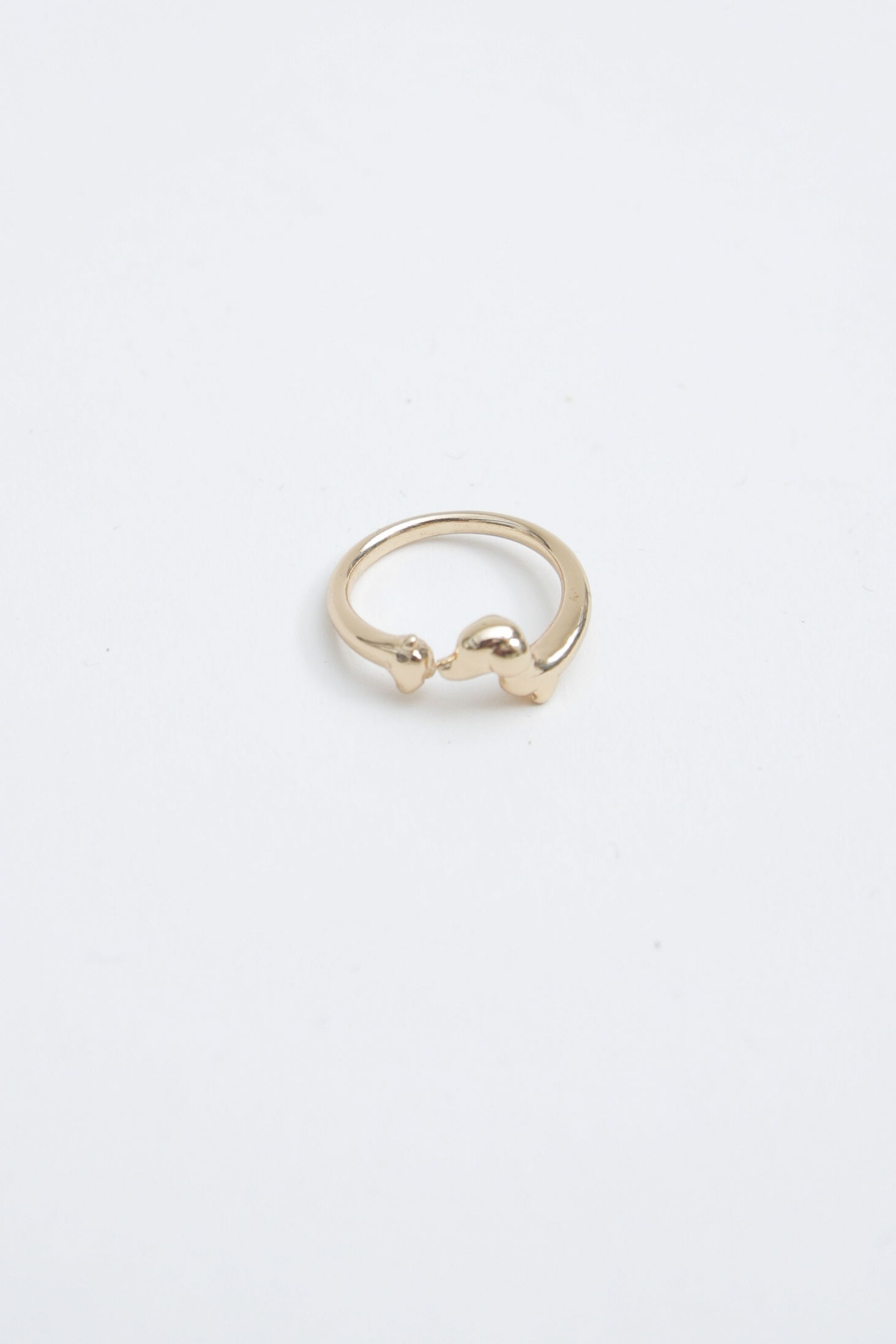 ANILLO SALCHI