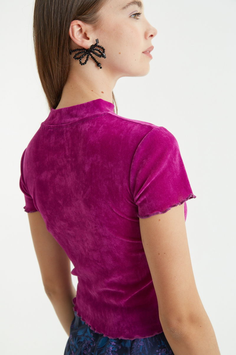 Remera al cuerpo de velvet corta a la cintura de mangas cortas y cuello alto con bordado roulotte en mangas y ruedo. 
