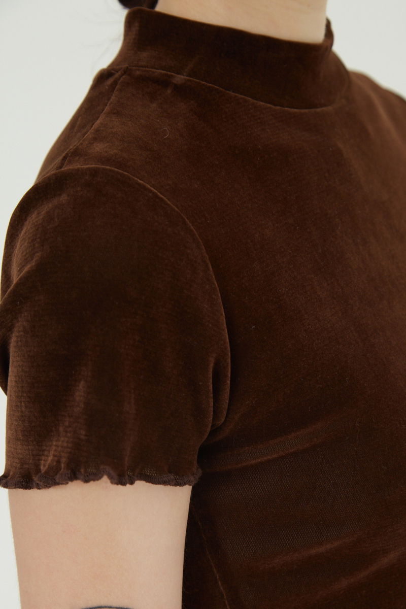 Remera marron al cuerpo de velvet corta a la cintura de mangas cortas y cuello alto con bordado roulotte en mangas y ruedo. 
