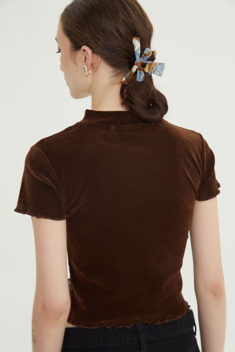 Remera marron al cuerpo de velvet corta a la cintura de mangas cortas y cuello alto con bordado roulotte en mangas y ruedo. 
