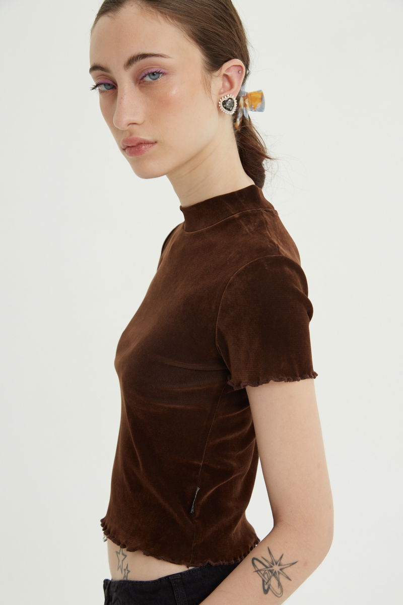 Remera marron al cuerpo de velvet corta a la cintura de mangas cortas y cuello alto con bordado roulotte en mangas y ruedo. 
