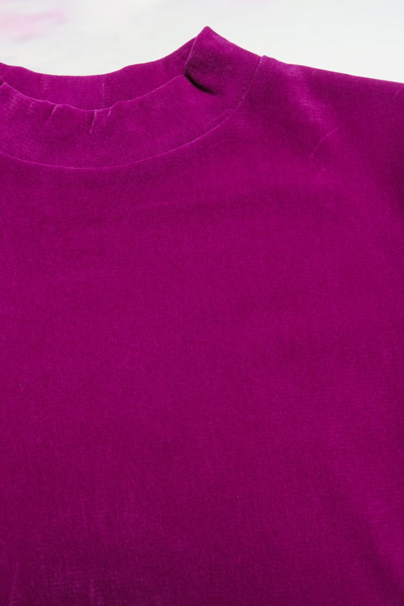 Remera al cuerpo de velvet corta a la cintura de mangas cortas y cuello alto con bordado roulotte en mangas y ruedo. 
