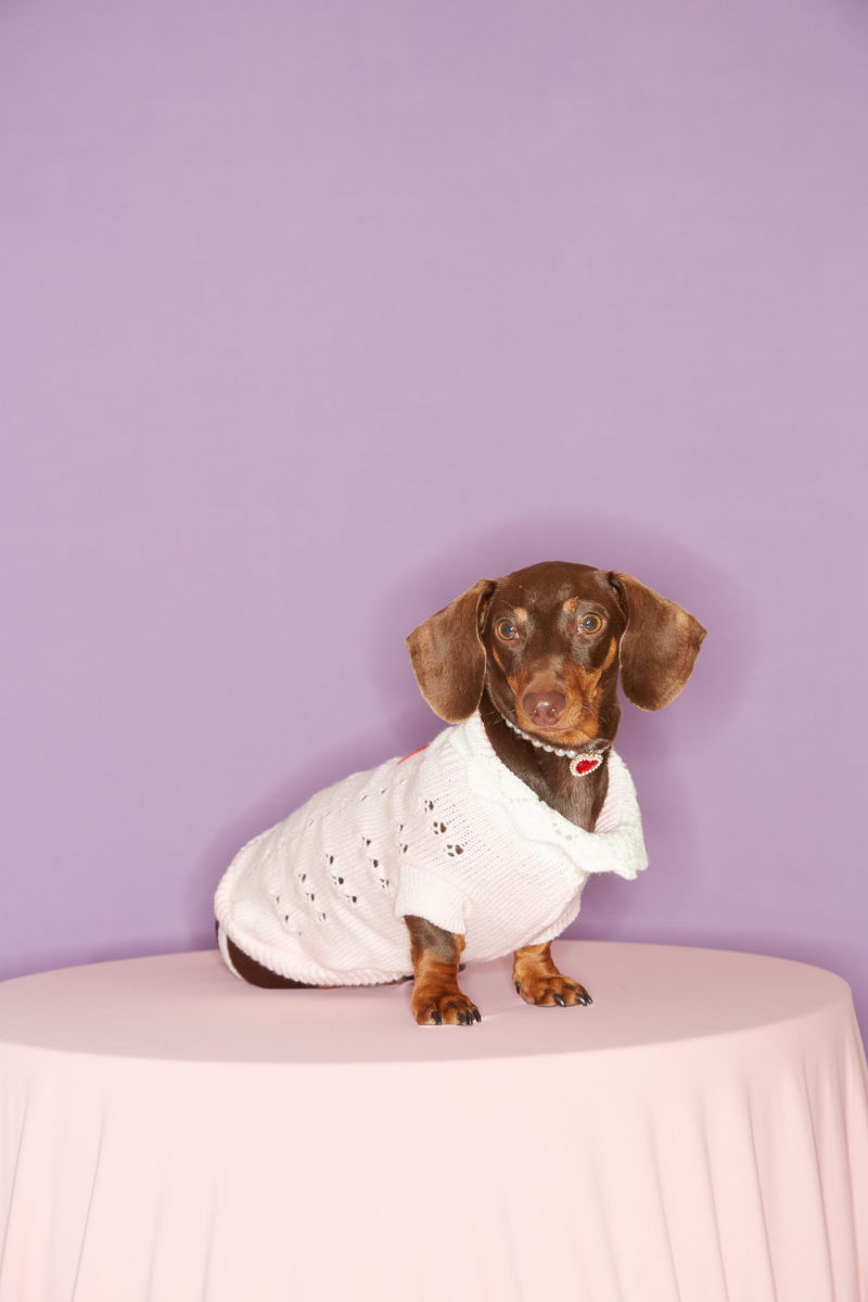 SWEATER GRANNY GUAU