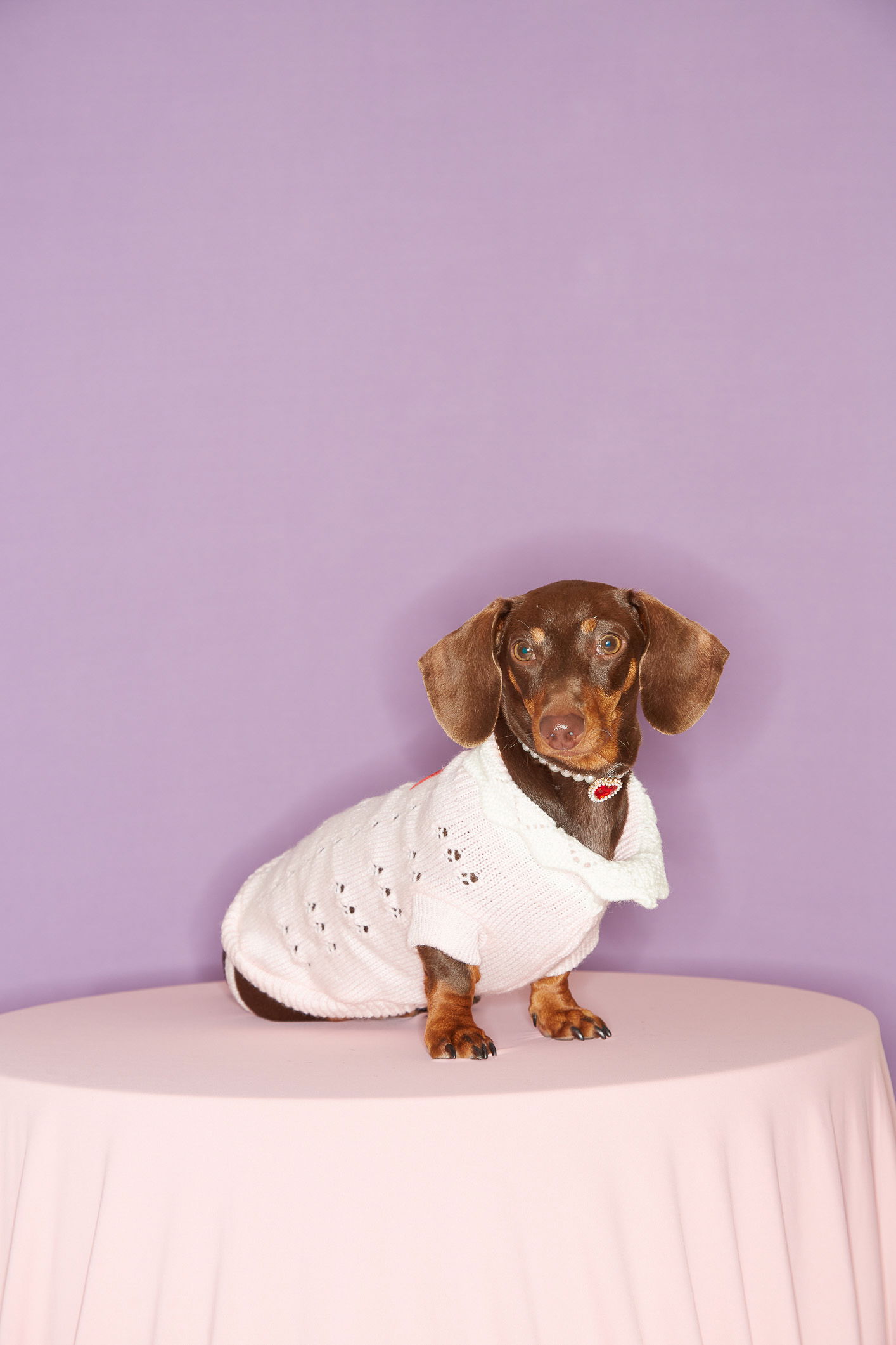 SWEATER GRANNY GUAU