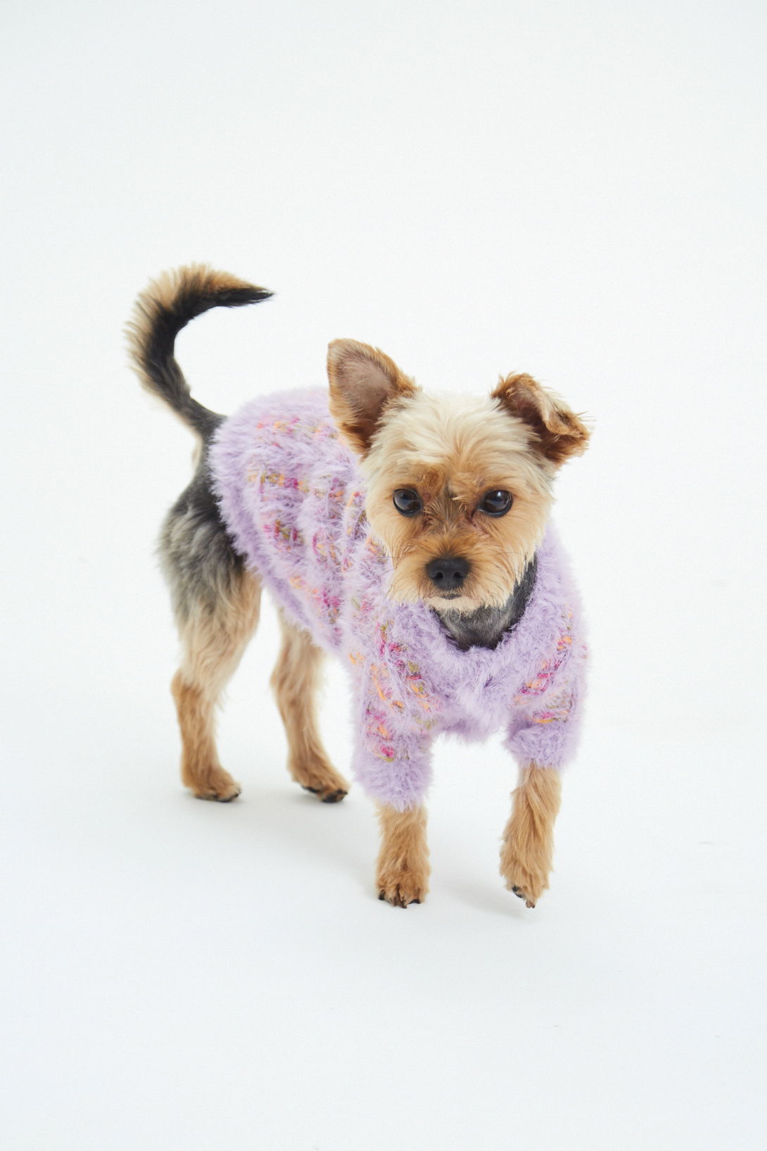 SWEATER GUAU