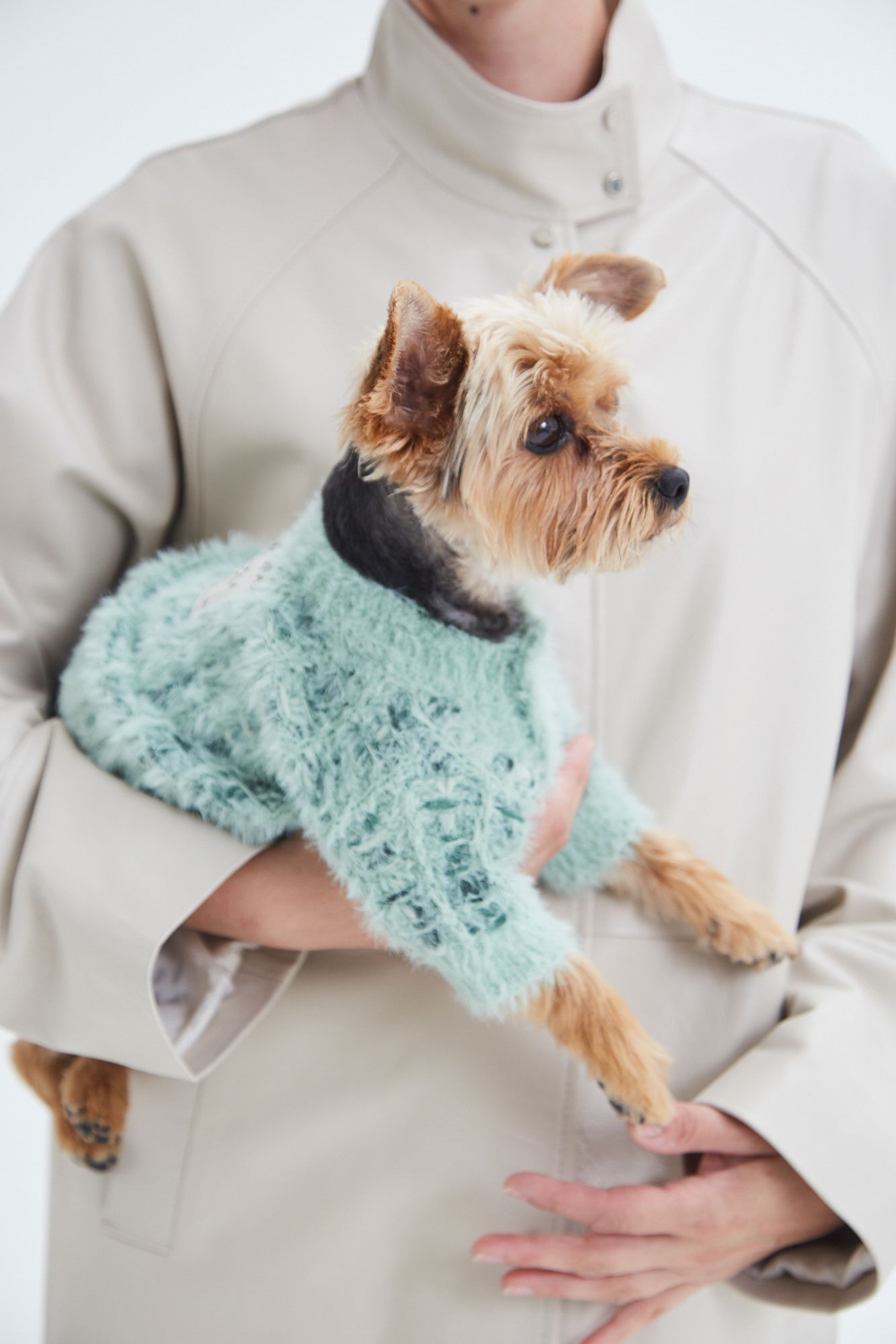 SWEATER GUAU