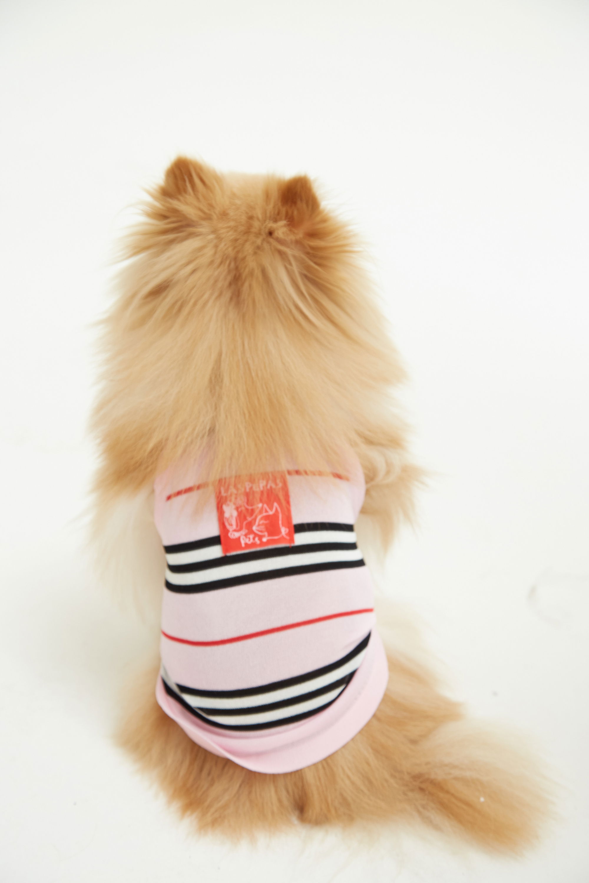 TOP SAILOR GUAU
