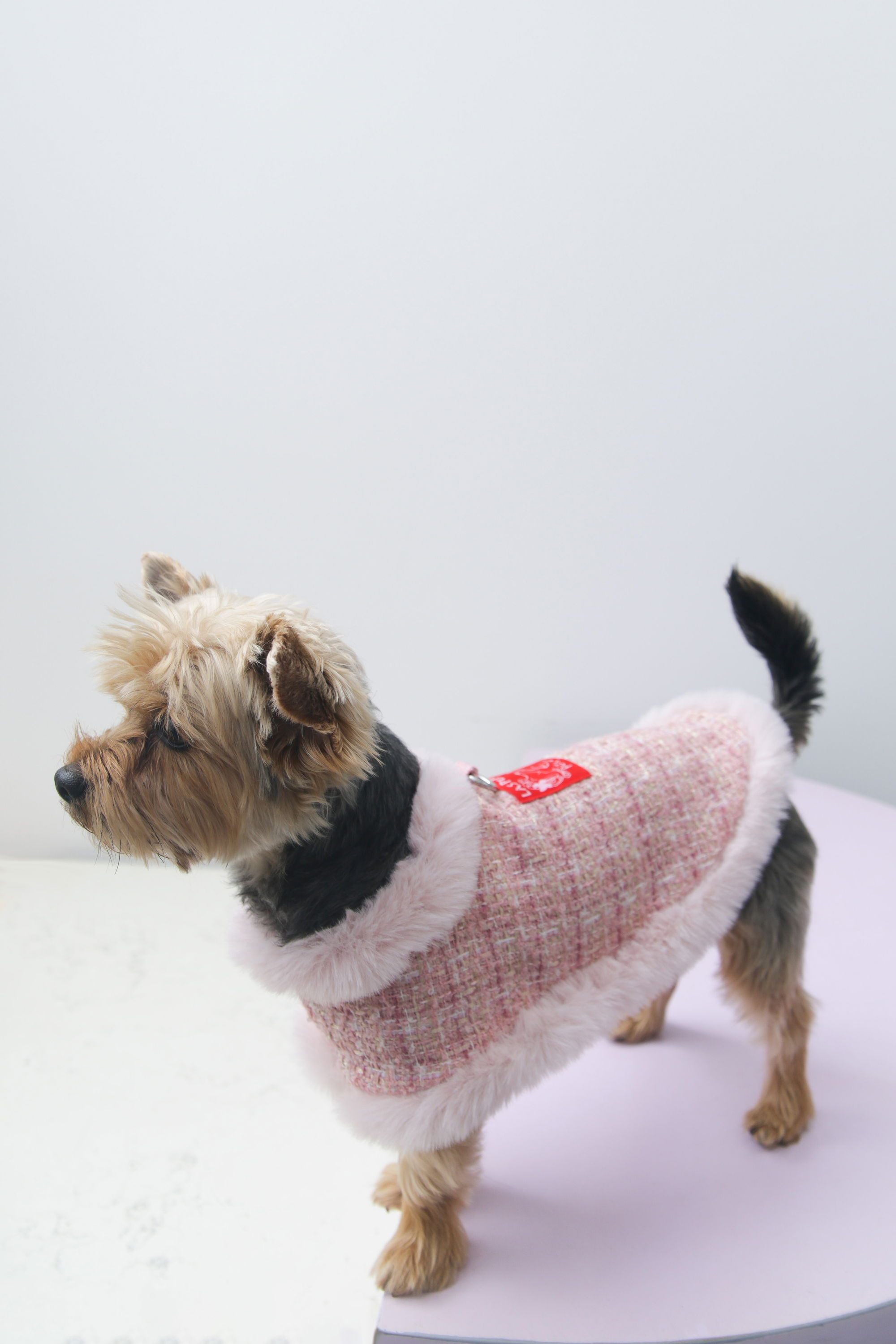 VESTIDO GUAU COCO